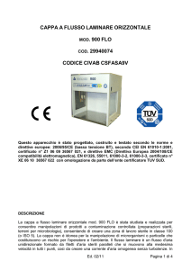 CAPPA A FLUSSO LAMINARE ORIZZONTALE MOD. 900 FLO COD