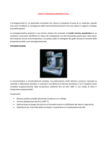 ANALISI TERMOGRAVIMETRICA (TGA) Il termogravimetro è un