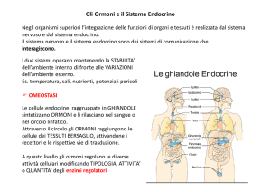 9. Introduzione agli ormoni. Il Pancreas File