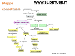 Mappa concettuale