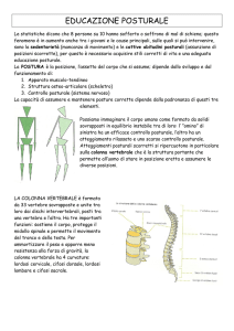 EDUCAZIONE POSTURALE