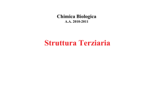 Domini e struttura terziaria - Web server per gli utenti dell`Università