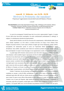 Sintesi per insegnanti - File  0.15Mb - MUSE