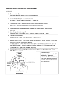 SCIENZE IIIA – ESERCIZI DI RIPASSO SUGLI