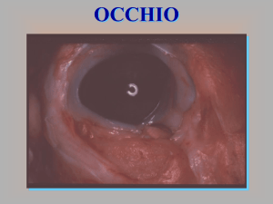 occhio 1 File - Progetto e