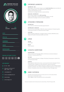 Apri CV - Simone Nolgo