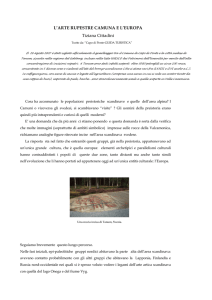 T. CITTADINI L`arte rupestre camuna e l`Europa