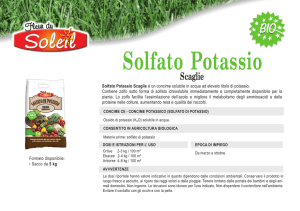Solfato Potassio - Home | Raggio di Sole