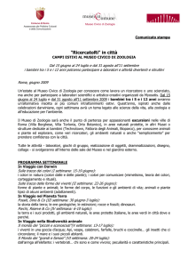 Campi Estivi - Comunicato Stampa