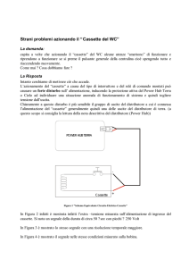 Strani problemi azionando il “Cassette del WC”