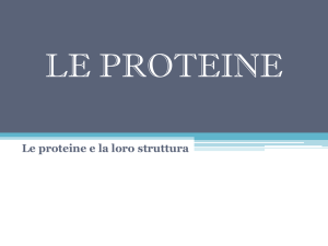 Proteine, struttura e denaturazione