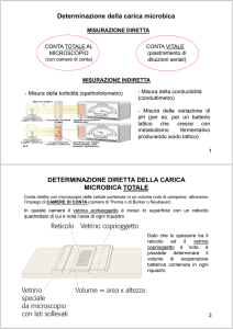 determinazione diretta della carica microbica totale