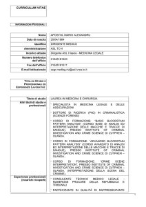 curriculum vitae