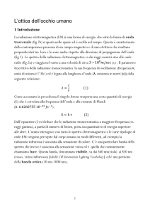 L`ottica dell`occhio umano