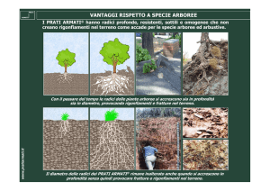 VANTAGGI RISPETTO A SPECIE ARBOREE