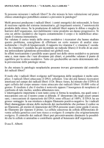 DOMANDE E RISPOSTE – “I RADICALI LIBERI “