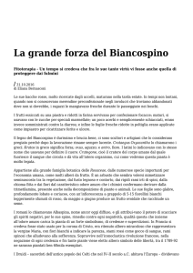 Azione - Settimanale di Migros Ticino La grande forza del Biancospino