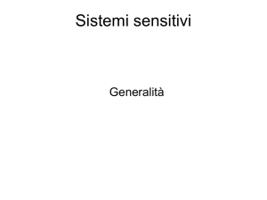 Sistemi sensitivi