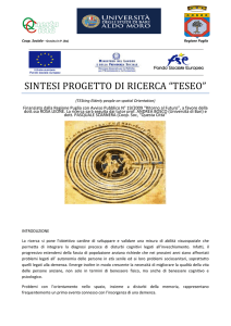 sintesi progetto di ricerca “teseo”