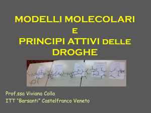 MODELLI MOLECOLARI e PRINCIPI ATTIVI delle DROGHE