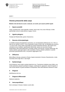 Viremia primaverile della carpa