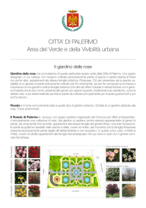 Il giardino delle rose