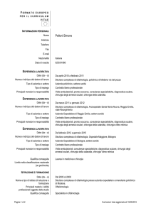 CV-Pelloni Simone