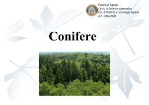 Facoltà di Agraria Corso di Botanica sistematica CdL di Scienze e