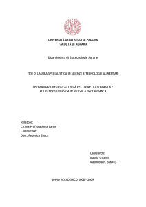Documento PDF
