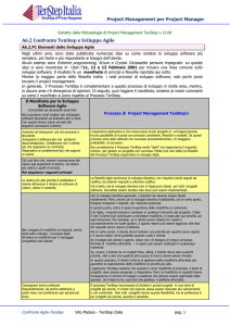 Confronto tra Agile Manifesto e TenStep