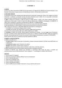 Le bevande 2/2 Birra, bevande nervine, bibite e succhi di frutta