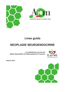 Scarica in formato PDF la versione 2016