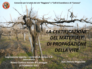 la certificazione del materiale di propagazione della vite