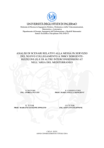 Tesi Finale Dottorato Andrea Puccio