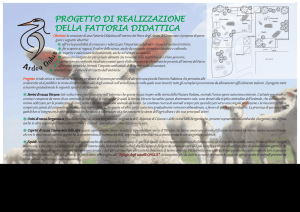 progetto di realizzazione della fattoria didattica