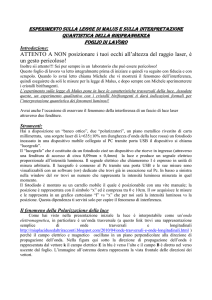 Esperimento sulla polarizzazione e birifrangenza