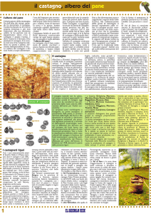 Pagina 1 - Il Secolo XIX