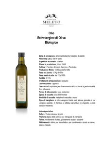 Olio Extravergine di Oliva Biologico