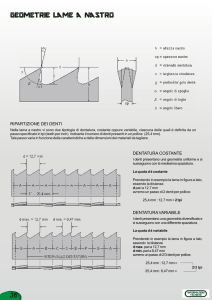 RIPARTIZIONE DEI DENTI DENTATURA COSTANTE DENTATURA