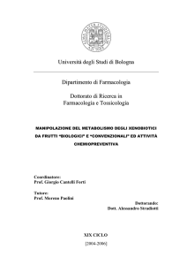 - AMS Tesi di Dottorato