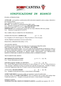 Protocolli vinificazione Vini bianchi hobbysti