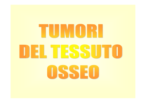Presentazione di PowerPoint