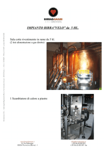 IMPIANTO BIRRA”VELO” da 5 HL.