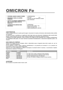 OMICRON Fe