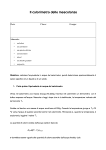Il calorimetro delle mescolanze