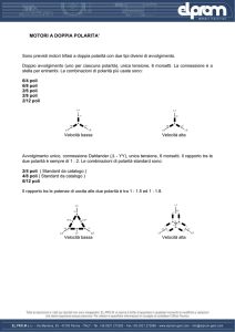 MOTORI A DOPPIA POLARITA`