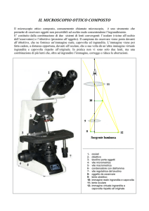 IL MICROSCOPIO OTTICO COMPOSTO