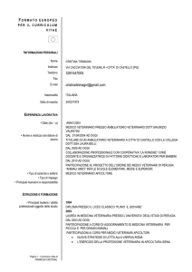 Curriculum vitae