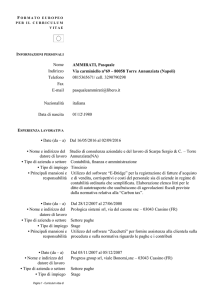 formato europeo per il curriculum vitae