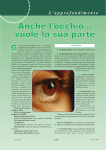 L`approfondimento